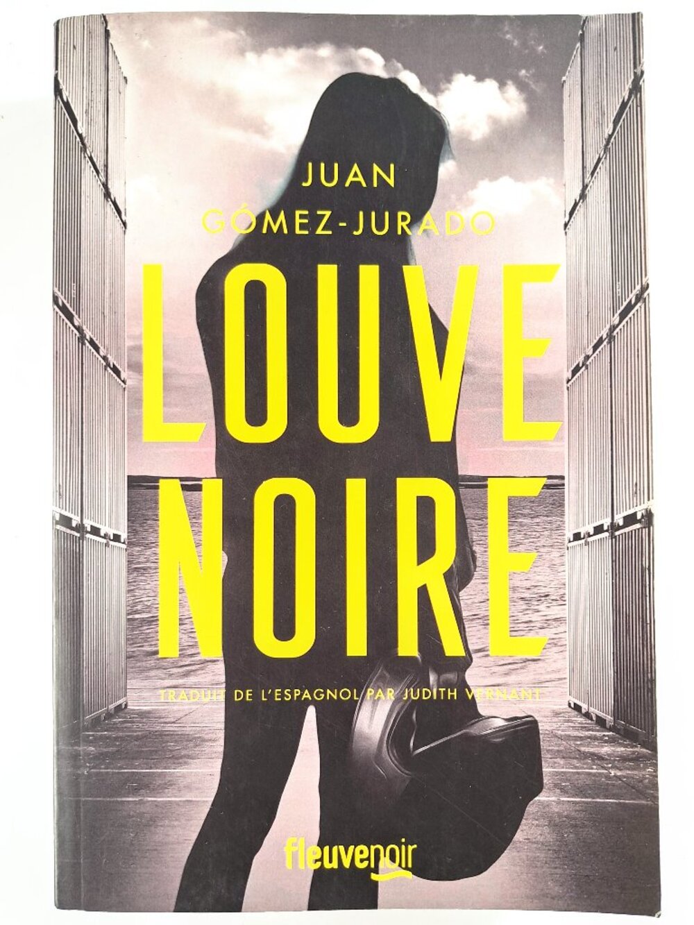 Louve Noire by Juan Gómez-Jurado (FRENCH)